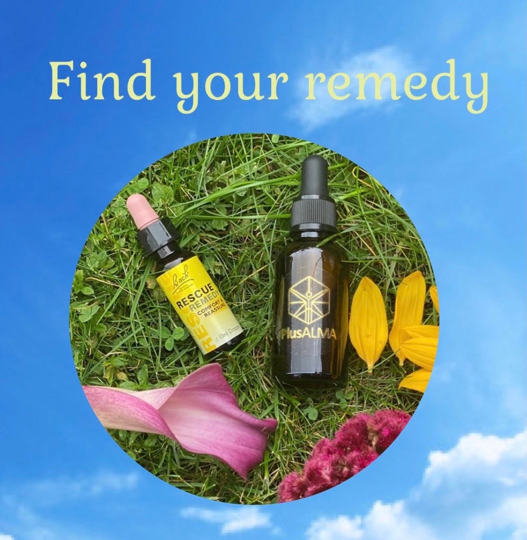 Find Your Essence Questionnaire Bach Flower Remedies Flower Essence