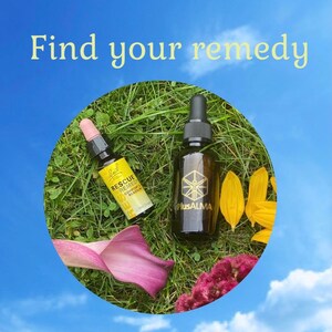 Find your essence - Questionnaire - Bach flower remedies - Flower essence guidance and consultations
