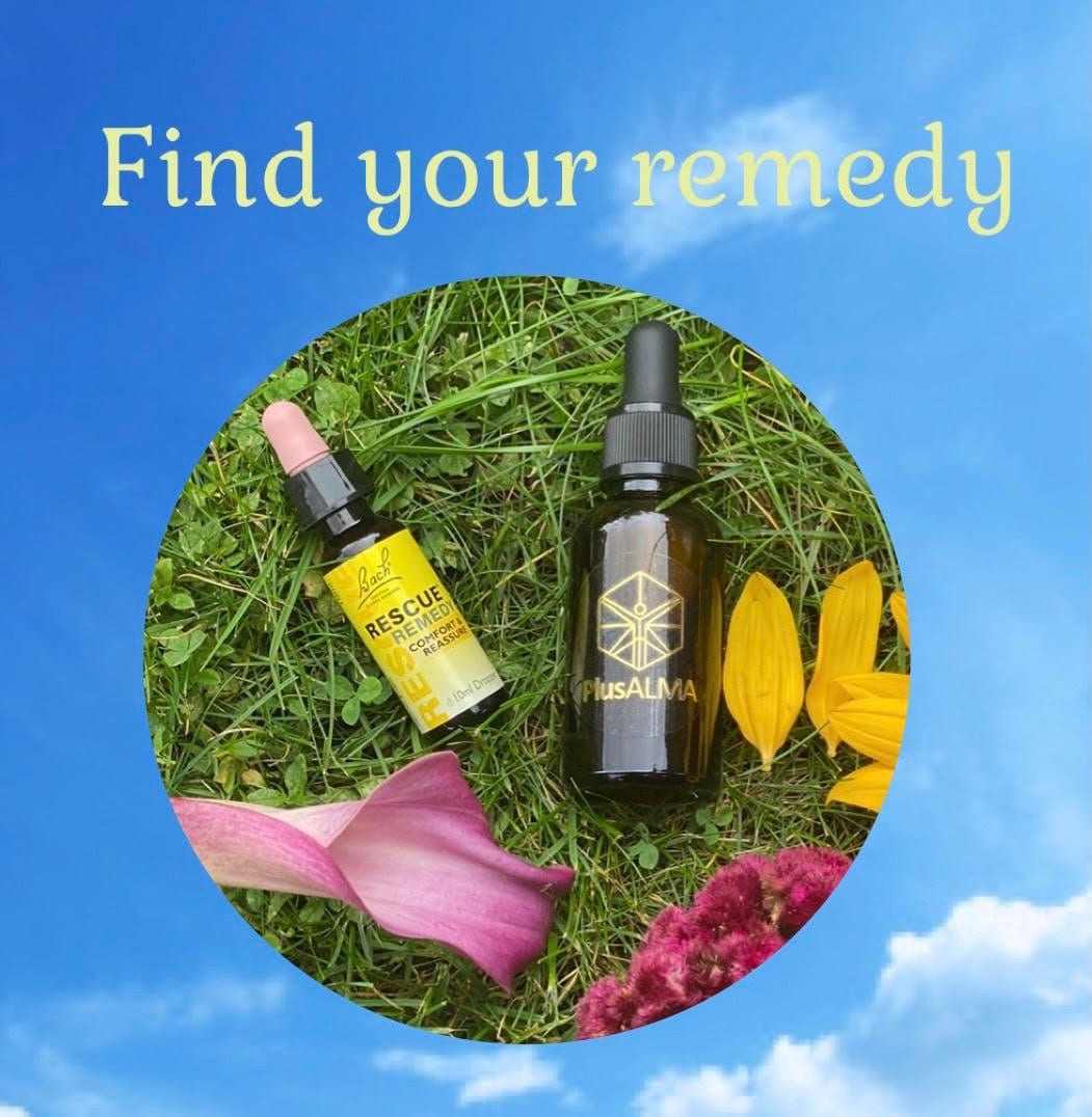 Find Your Essence Questionnaire Bach Flower Remedies Flower Essence