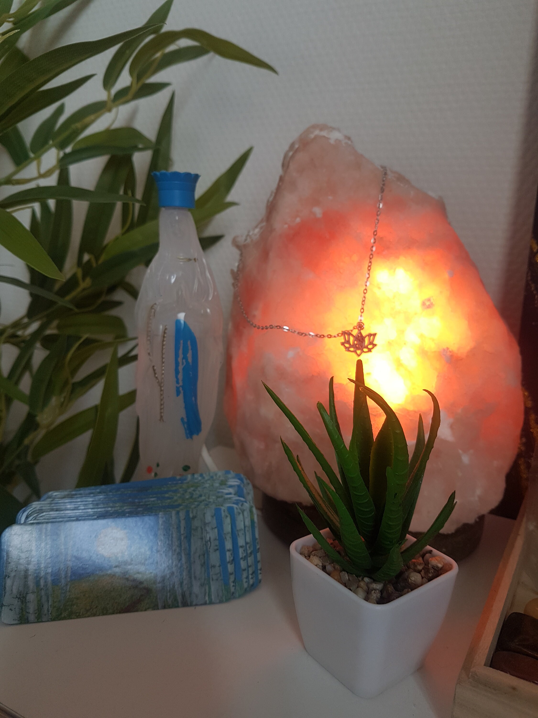 Guidance/Accompagnement en Direct