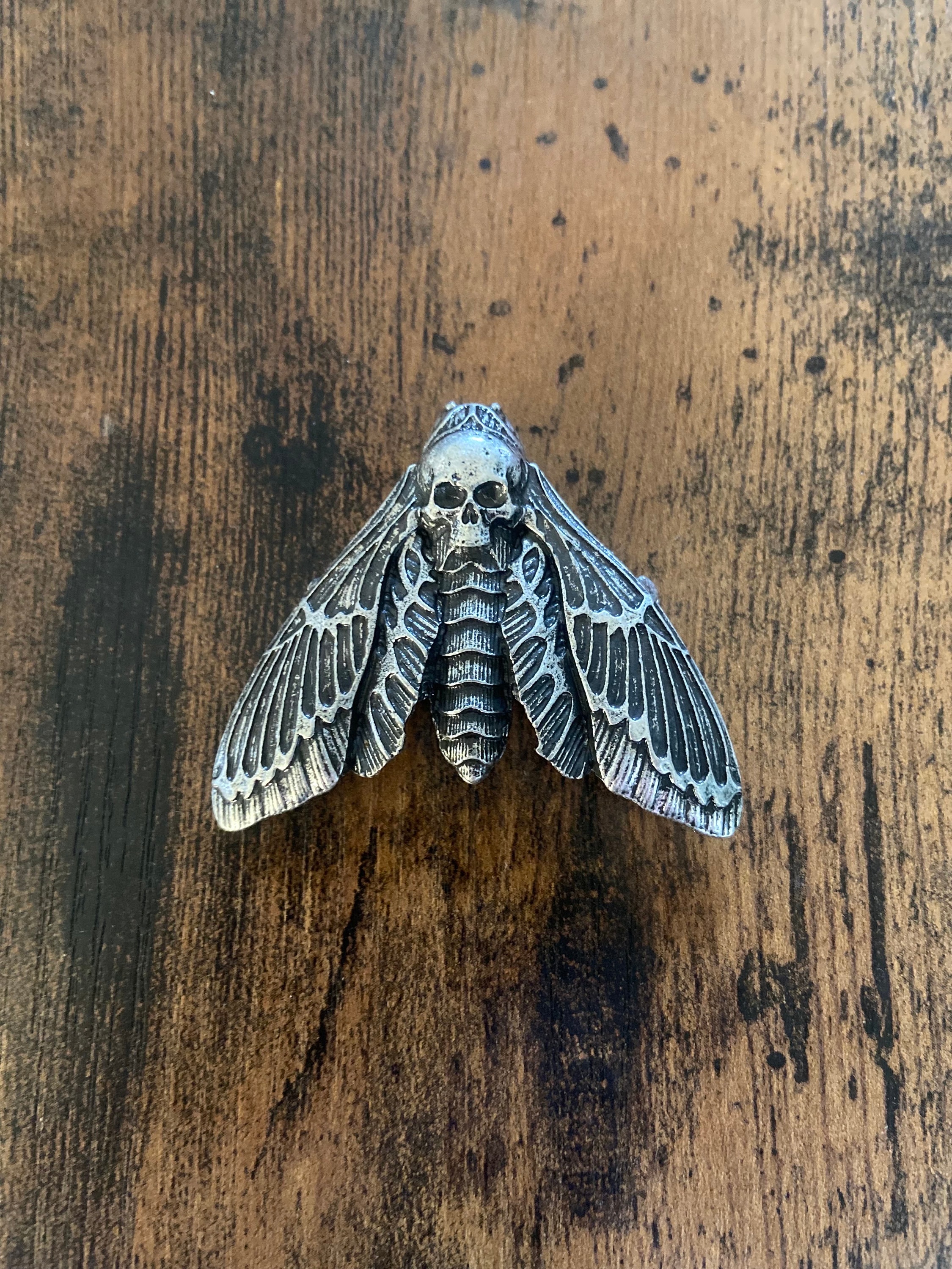 Hawk moth brooch clearance