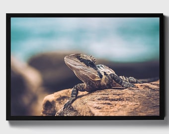 Bearded Dragon Art Print | Reptile Wall Decor