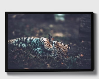 Jaguar Wall Art | Nursery Decor | Living Room Gift | Housewarming Present | Moody Photograph | Bedroom Decoration | Animal Poster