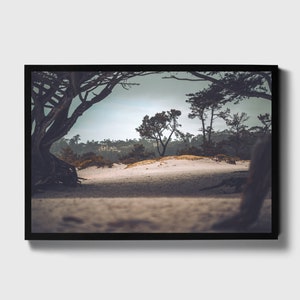Coastal Prints | Ocean Wall Art | Beach Prints | Beach Art | California Prints | Tropical Vibes | Nautical Wall Art | Coastal Decor