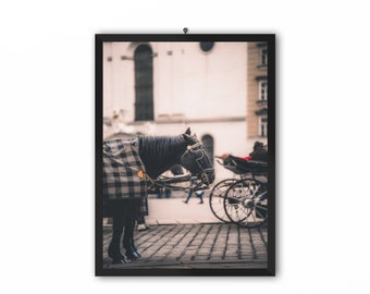 Vienna Horse Print | Equine Photography, Cityscape Wall Art