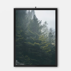 Forest Wall Art | Foggy Forest | Misty Forest Print | Nature Wall Art | Pine Tree Wall Art | Home Decor | Tranquil Forest Landscape |