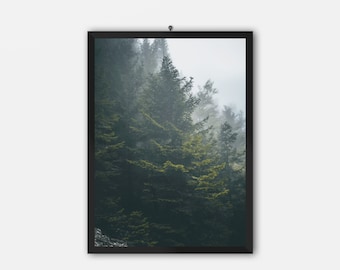 Forest Wall Art | Foggy Forest | Misty Forest Print | Nature Wall Art | Pine Tree Wall Art | Home Decor | Tranquil Forest Landscape |