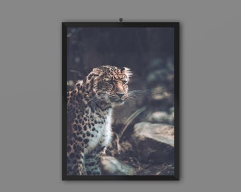 Leopard Art Print | Wildlife Home Decor, Animal Wall Art