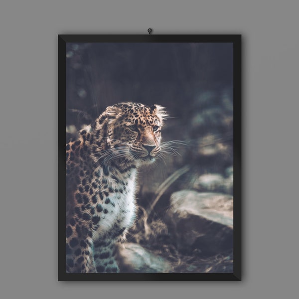 Leopard Print | Leopard Art Print | Animal Wall Art | Home Decor | Leopard Art | Leopard Poster | Cheetah Print | Leopard Wall Decor |