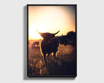 Highland Cow Print | Rustic Farmhouse Wall Art