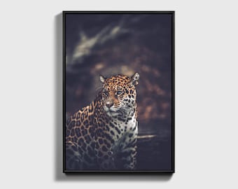 Jaguar Photograph, Premium Framed Poster or Canvas Wall Art