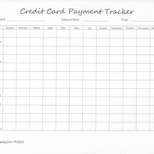 Seguimiento de pagos con tarjeta de crédito, hoja de trabajo de seguimiento de deudas, seguimiento de pagos de crédito anual, planificador de crédito, descarga instantánea de archivos digitales