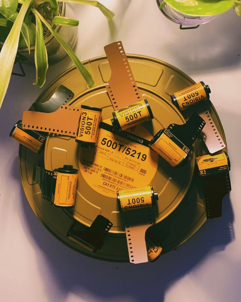 35 mm / 400ft / コダック VISION3 250D カラーネガティブ フィルム