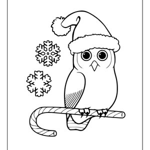 Printable Owl Coloring Pages for Kids and Adults | 100 Pages | Instant ...