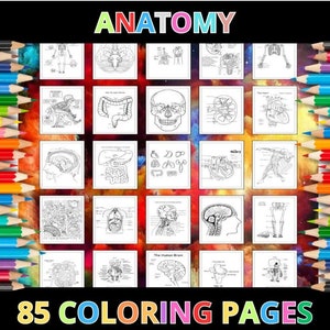 Afdrukbare anatomie kleurplaten voor kinderen en volwassenen | 85 Pagina's | Direct digitaal downloaden PDF | Bestudeer kleurplaten voor anatomische wetenschap