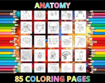 Printable Anatomy Coloring Pages for Kids & Adults | 85 Pages | Instant Digital Download PDF | Study Anatomy Science Coloring Sheets