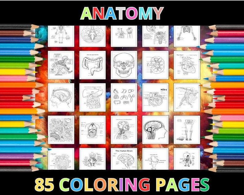 Printable Anatomy Coloring Pages for Kids &amp; Adults | 85 Pages | Instant ...