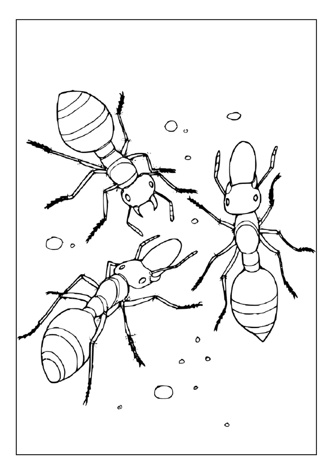 Printable Ants Coloring Pages for Kids Adults 50 Pages Instant
