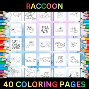 Printable Raccoon Coloring Pages for Kids & Adults | 40 Pages | Instant Digital Download PDF | Raccoons Animals Coloring Sheets Collection