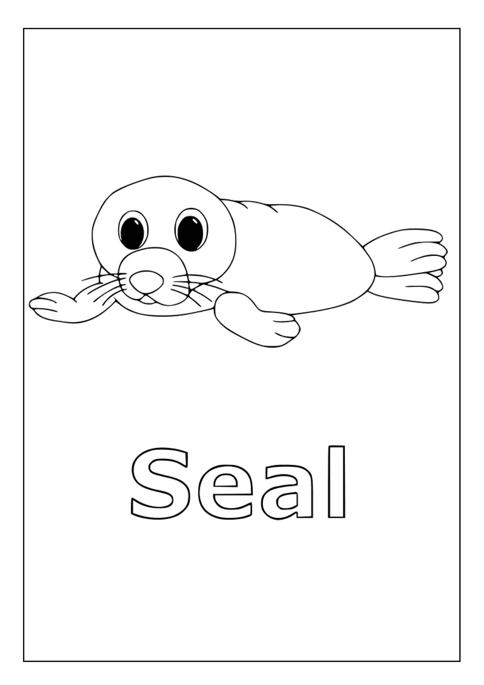 Walrus and Whale