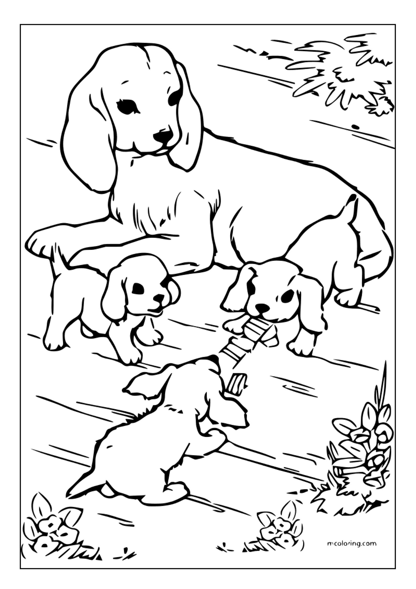 Printable Animals Coloring Pages for Kids and Adults | 90 Pages ...