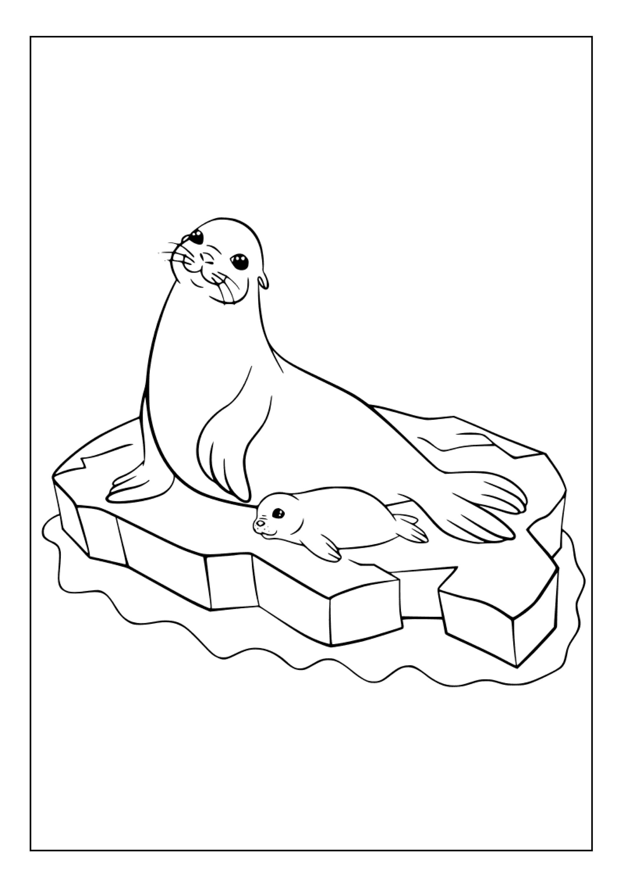 Printable Seals Coloring Pages for Kids and Adults 70 Pages Instant Digital Download PDF Cute ...