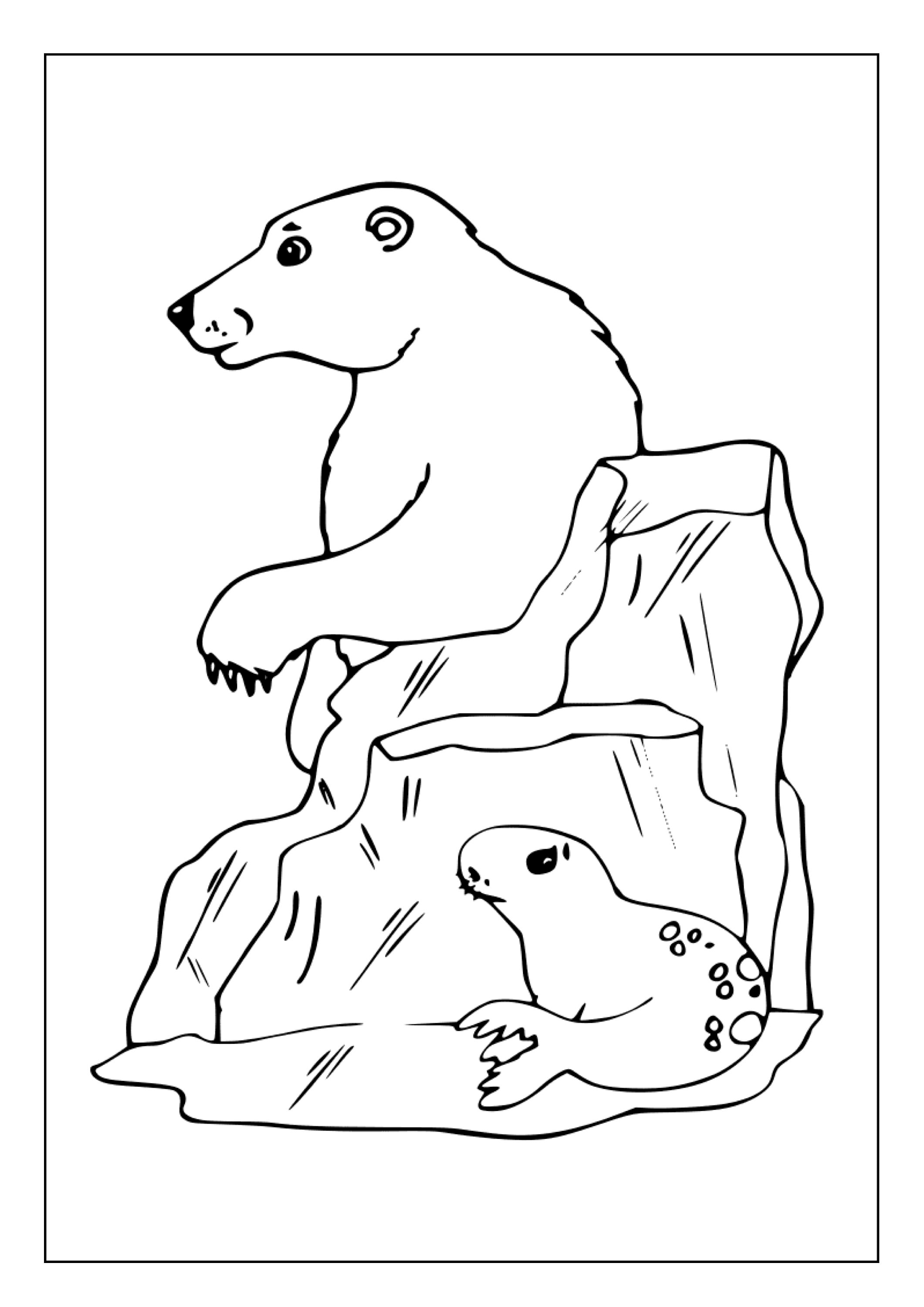 Printable Seals Coloring Pages for Kids and Adults 70 Pages Instant