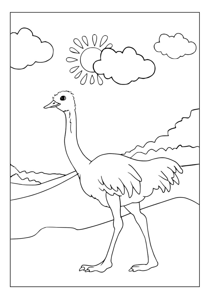 Printable Ostrich Coloring Pages for Kids &amp; Adults | 35 Pages | Digital ...