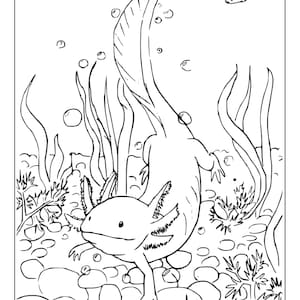 Printable Axolotl Coloring Pages for Kids and Adults | 85 Pages
