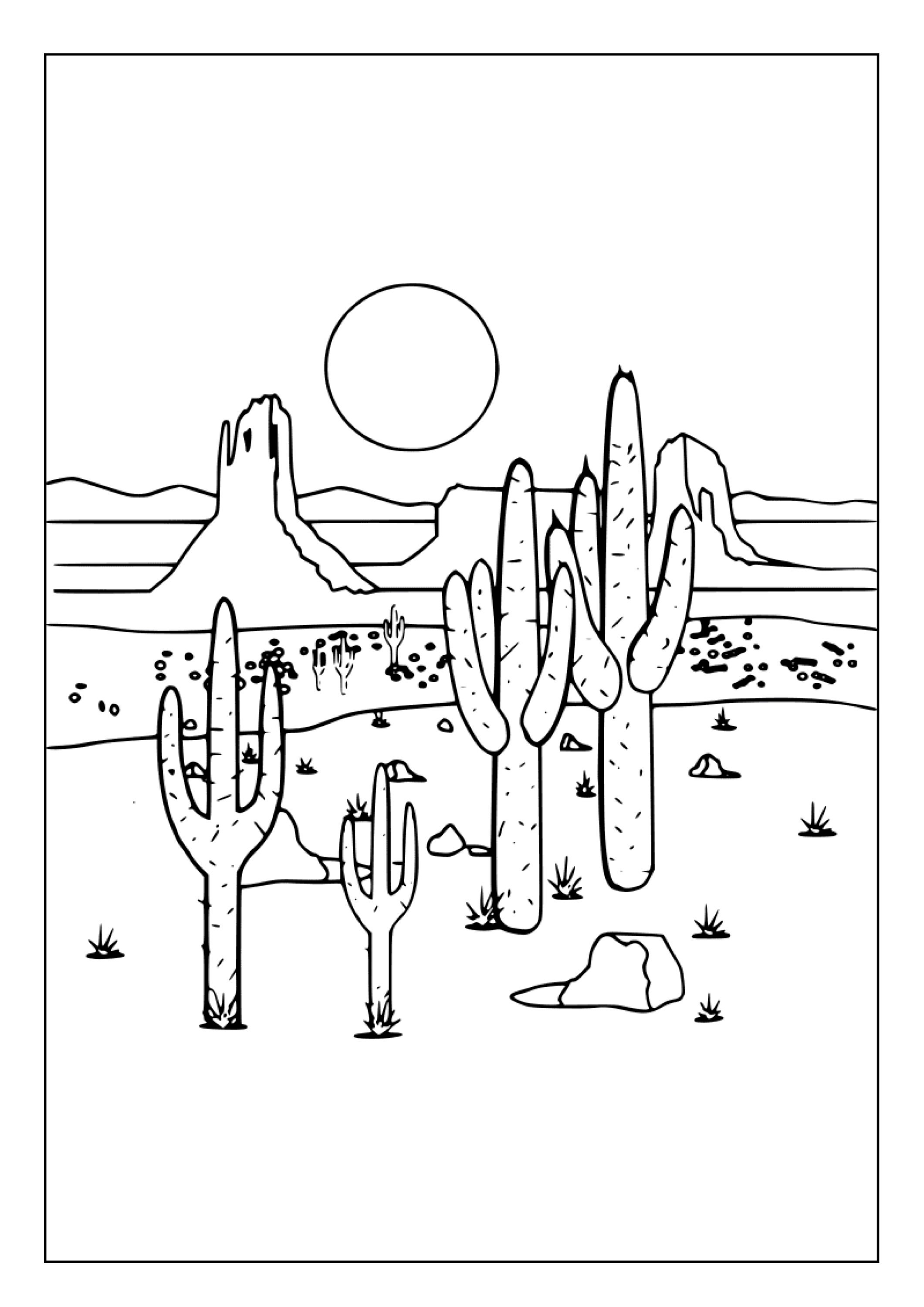 Printable Desert Coloring Pages for Kids and Adults 60 Pages Instant