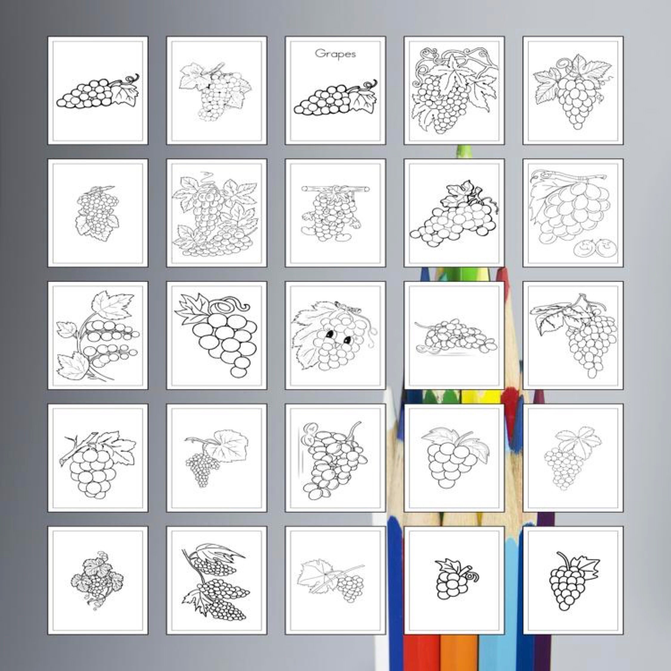 Printable Grapes Coloring Pages for Kids Adults 30 Pages Instant