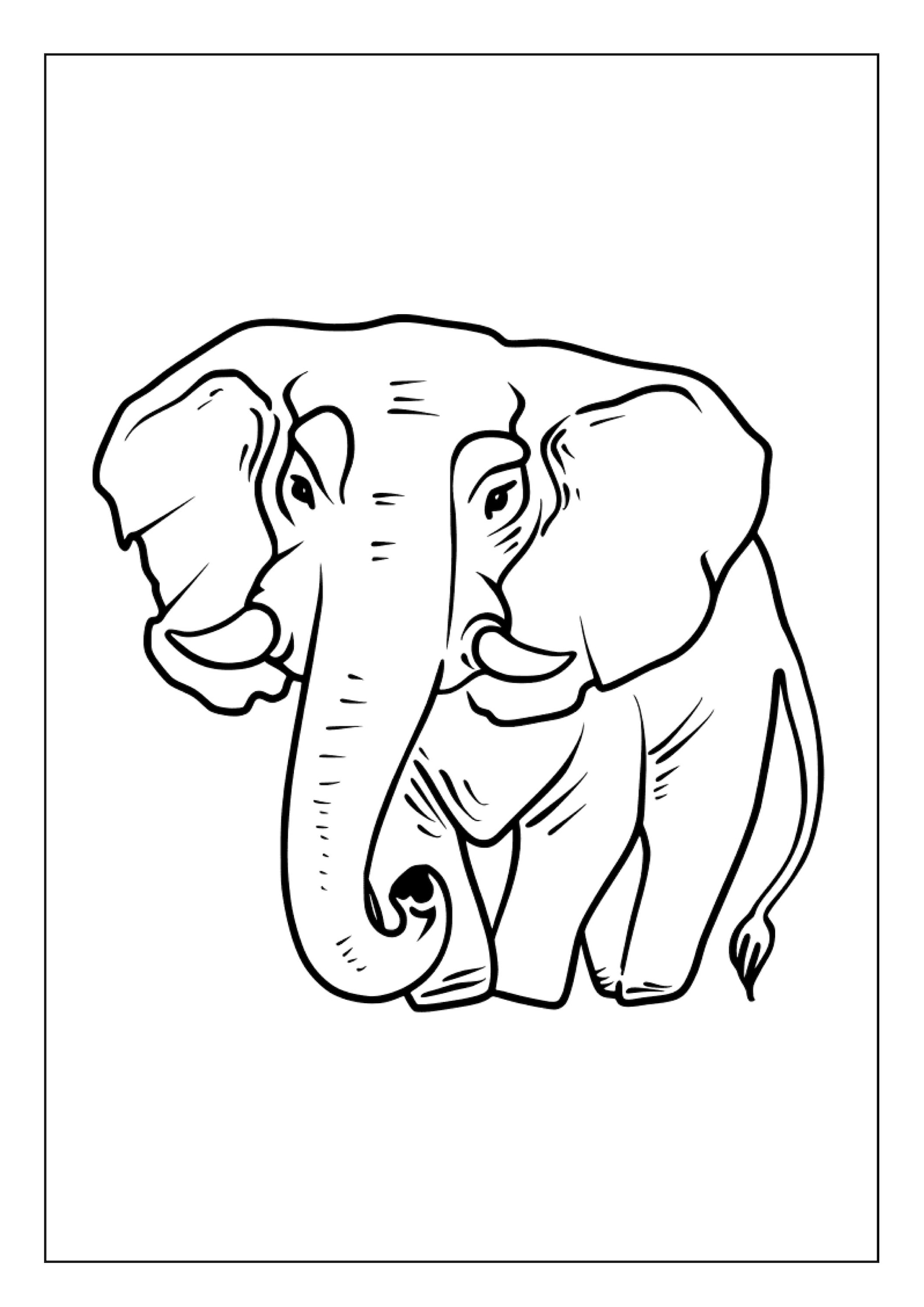 Printable Mammals Coloring Pages for Kids & Adults 40 Pages Instant