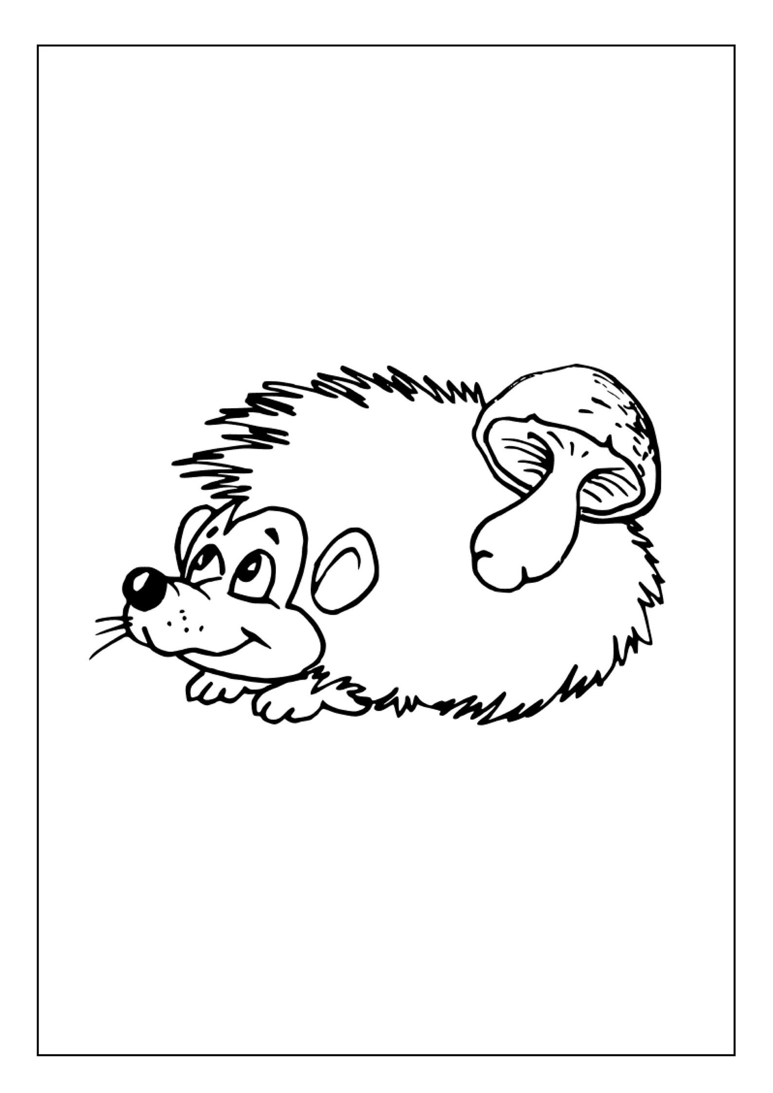 Printable Hedgehogs Coloring Pages for Kids and Adults 90 Pages Instant
