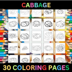 Printable Cabbage Coloring Pages for Kids & Adults | 30 Pages | Instant Digital Download PDF | Leafy Green Vegetable Cabbage Coloring Sheets
