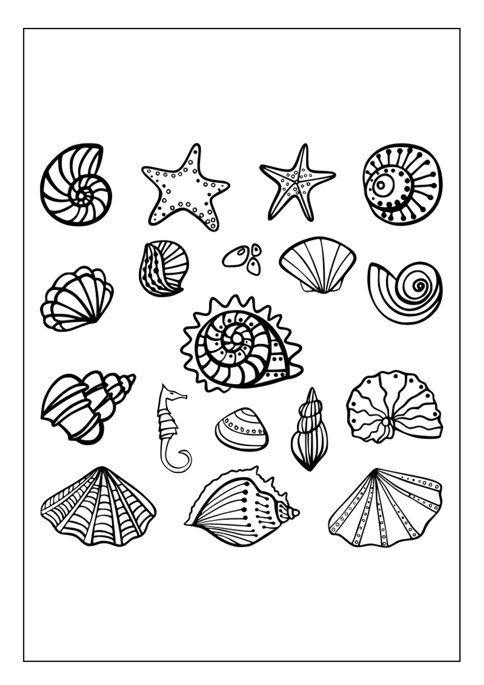 Printable Shell Coloring Pages for Kids & Adults | 85 Pages | Digital ...