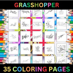 Zauberhafte Heuschrecke Malseiten zum Ausdrucken für Kinder & Erwachsene | 35 Seiten | Sofortiger digitaler Download PDF | Insekten Malvorlagen