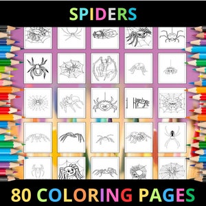 Printable Spiders Coloring Pages for Kids & Adults | 80 Pages | Instant Digital Download PDF | Cute Spider Insects Arachnid Coloring Sheets