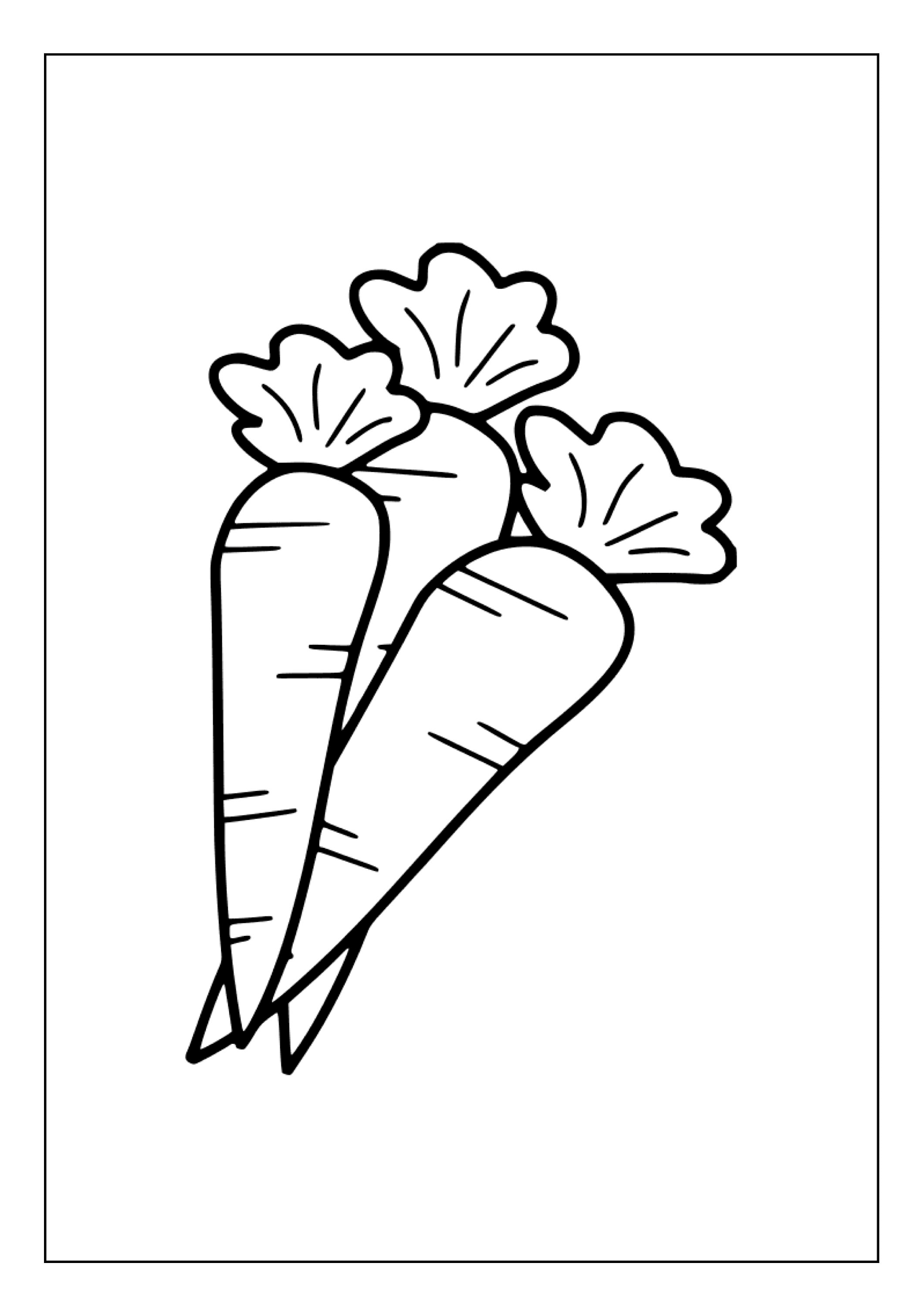 Printable Carrots Coloring Pages for Kids & Adults 80 Pages Instant