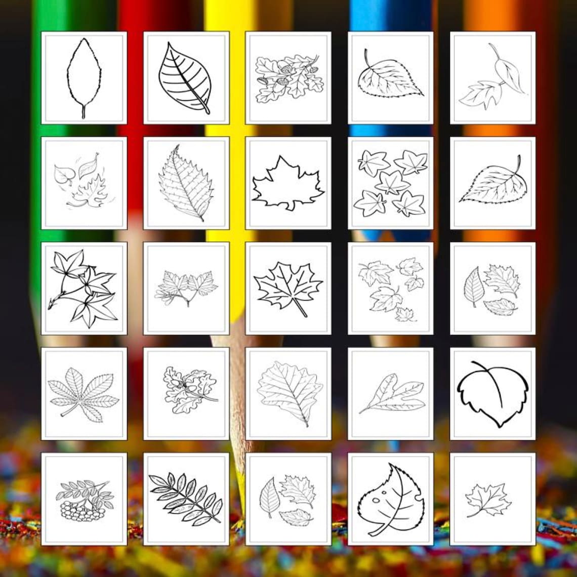 Printable Fall Leaf Coloring Pages for Kids and Adults | 60 Pages ...