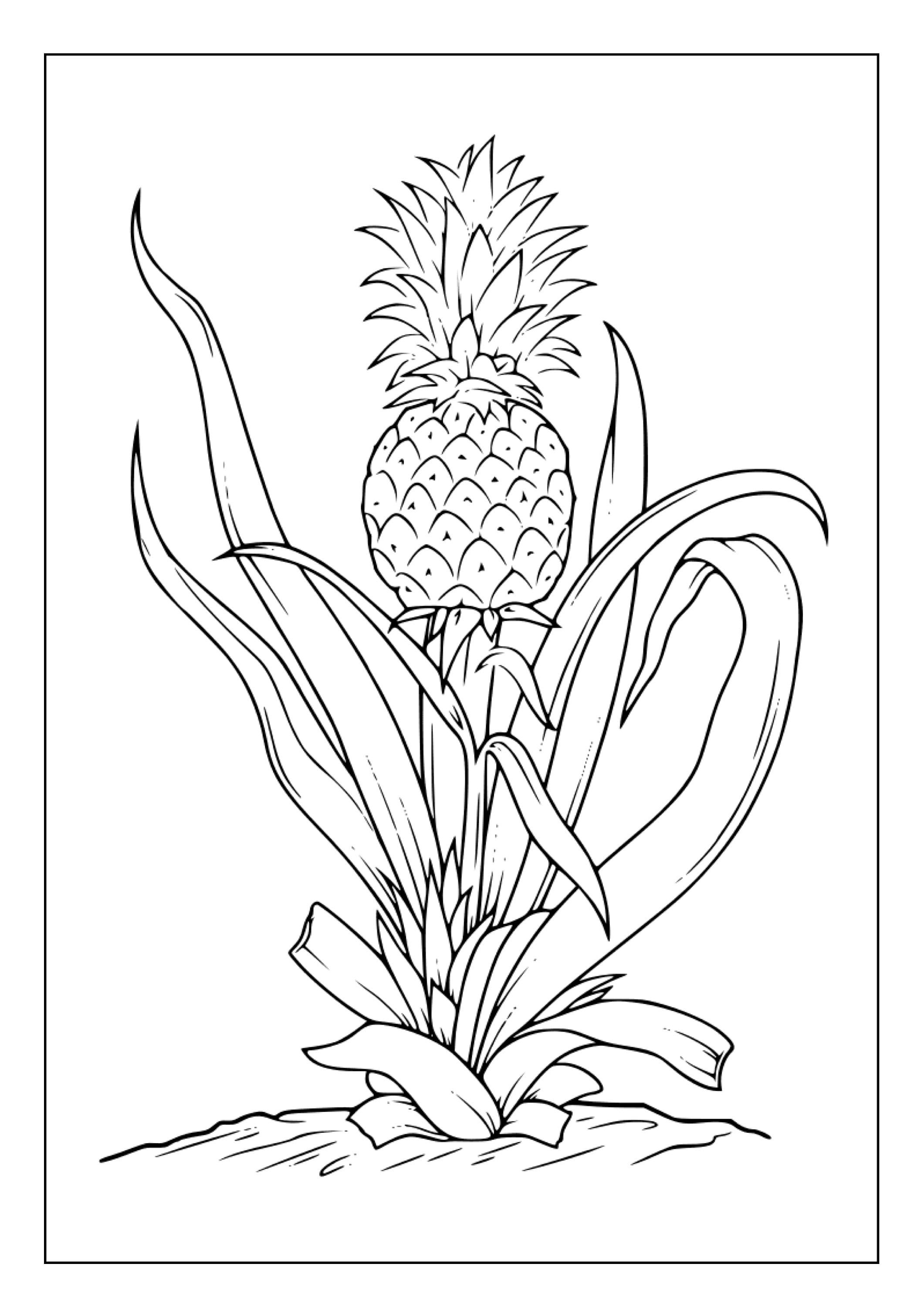 Printable Pineapple Coloring Pages for Kids and Adults 95 - Etsy