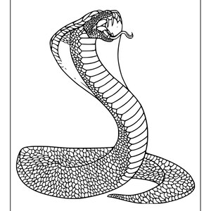 Printable Cobra Coloring Pages for Kids &amp; Adults | 35 Pages | Instant ...