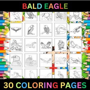 Printable Bald Eagle Coloring Pages for Kids & Adults | 30 Pages | Digital Download | Cute Bird Wildlife Eagles Coloring Sheets Collection