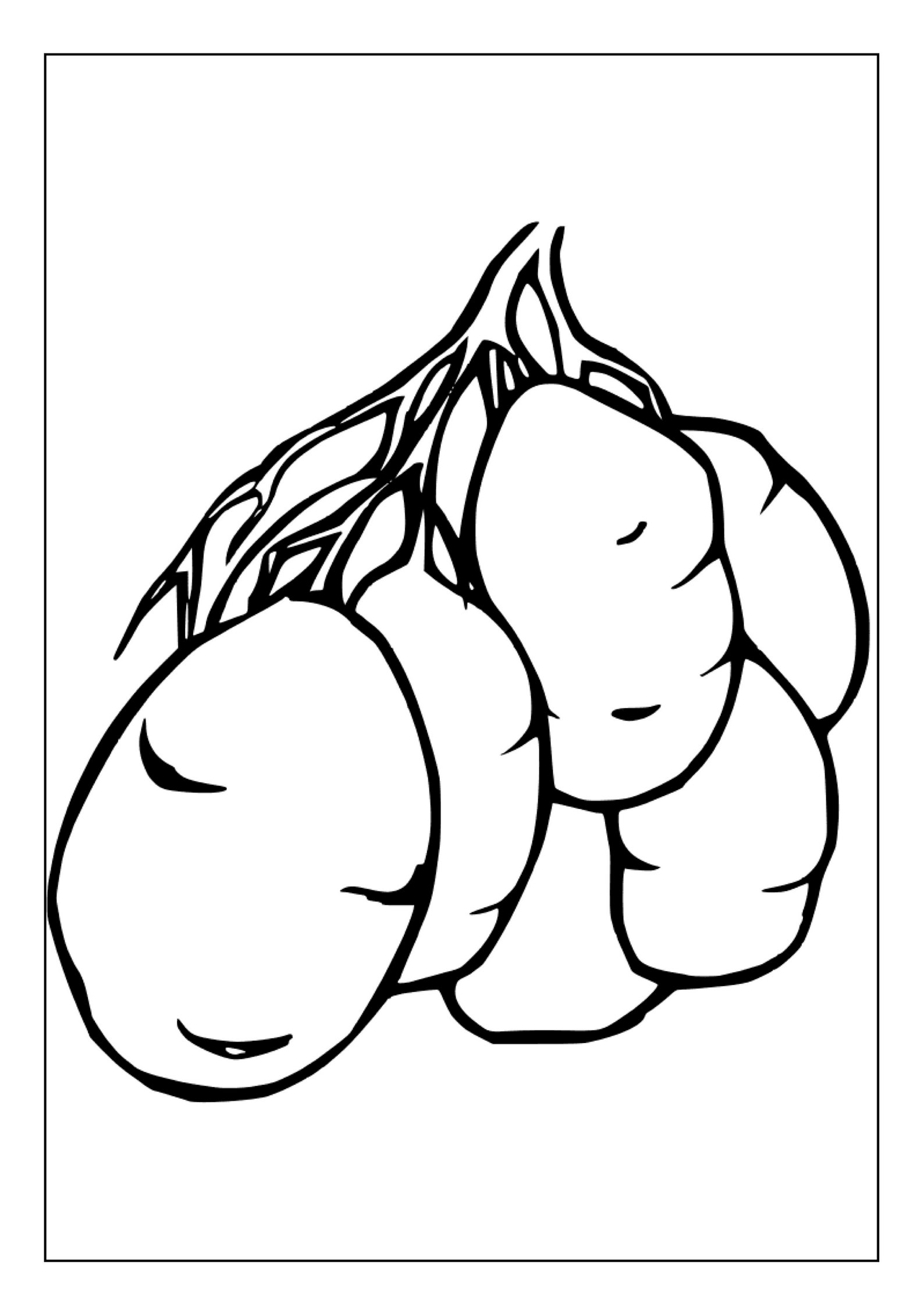 Printable Potato Coloring Pages for Kids & Adults 30 Pages Digital Download PDF Fun Vegetable