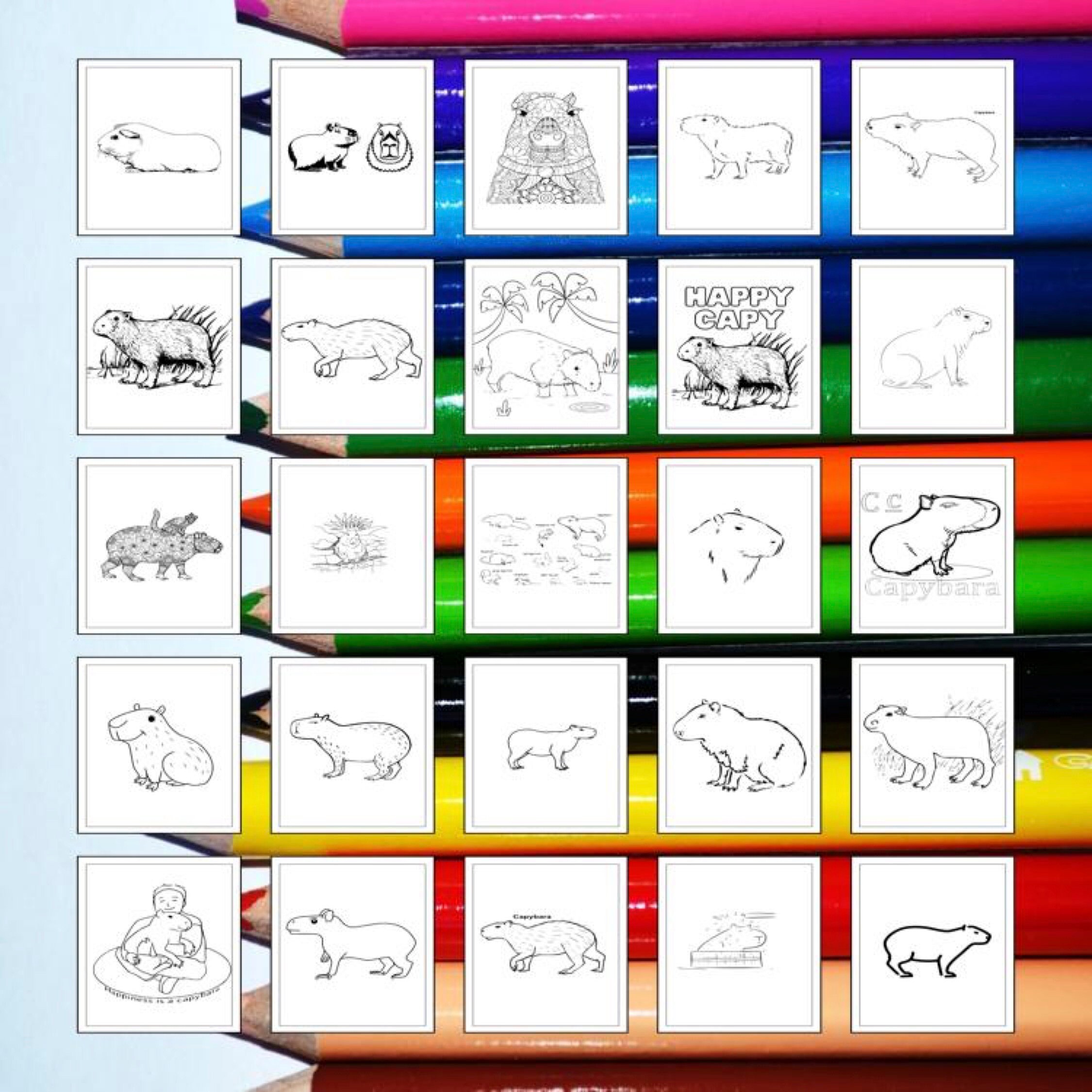 Printable Capybara Coloring Pages for Kids & Adults | 35 Pages