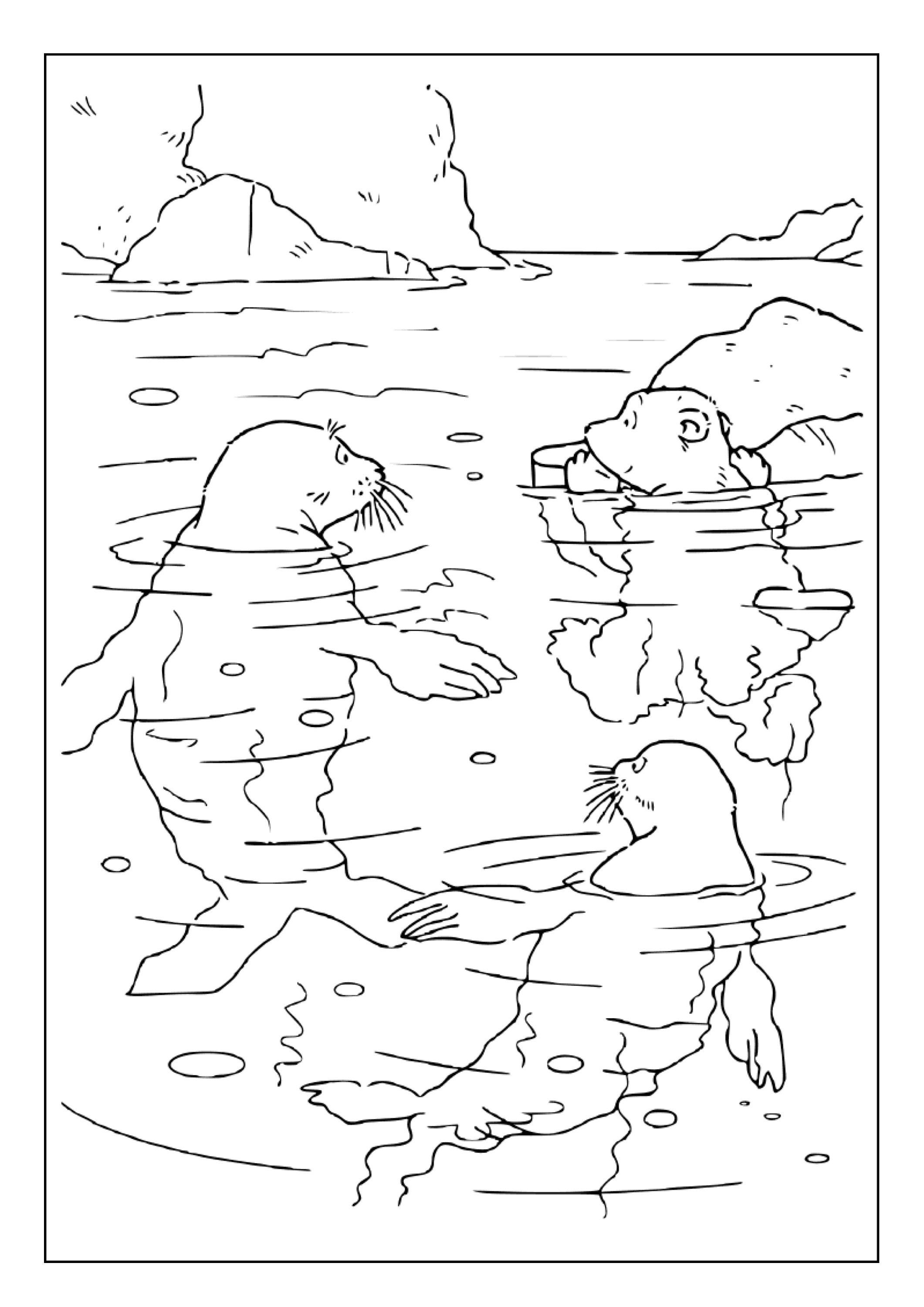 Hojas Para Colorear De Osos Polares Para Imprimir Super Bear Adventure
