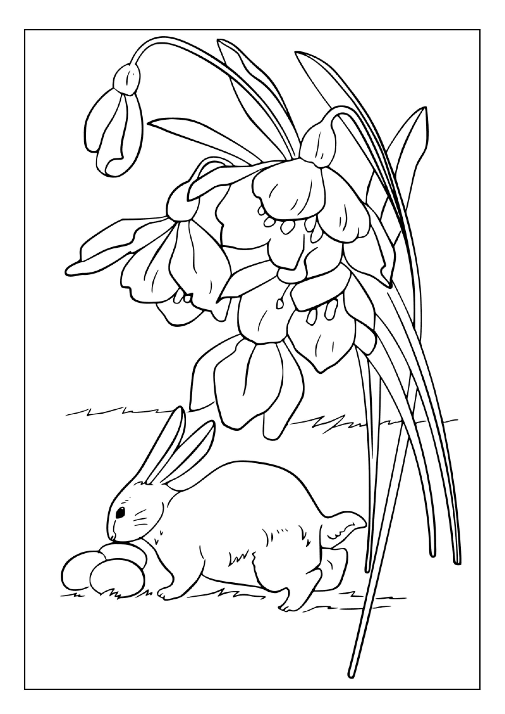 Printable Easter Bunny Coloring Pages for Kids & Adults 100 Pages