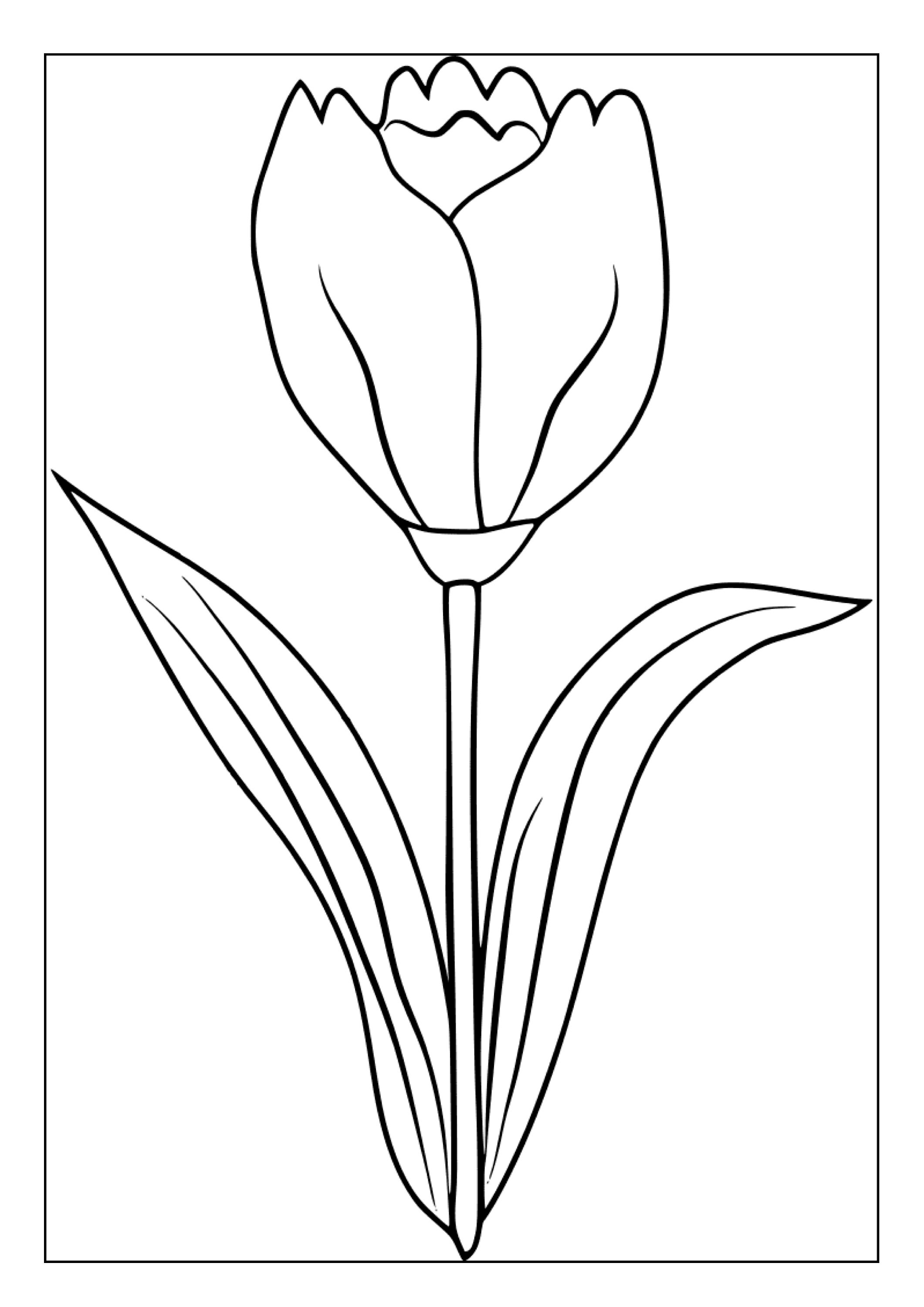 Printable Tulip Coloring Pages for Kids and Adults | 35 Pages | Instant ...