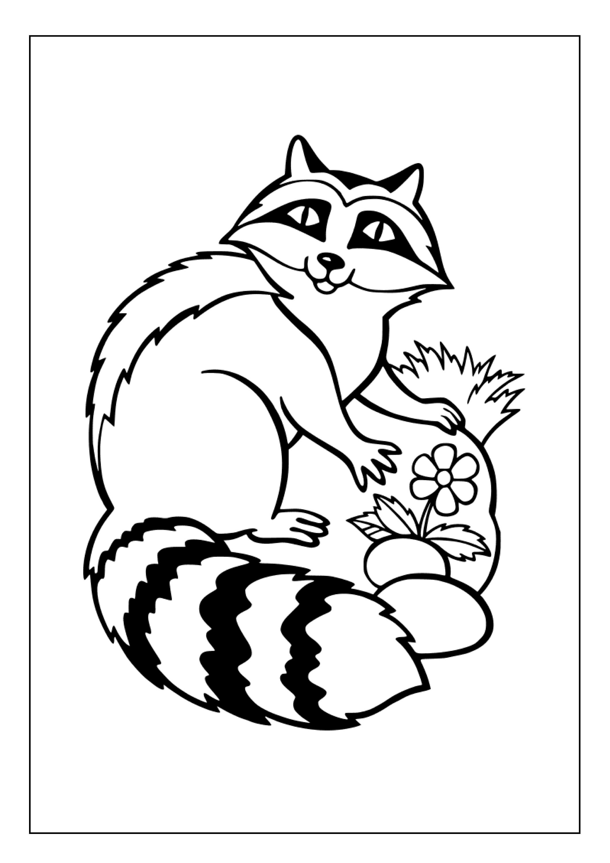 Printable Raccoon Coloring Pages for Kids &amp; Adults 40 Pages Instant ...