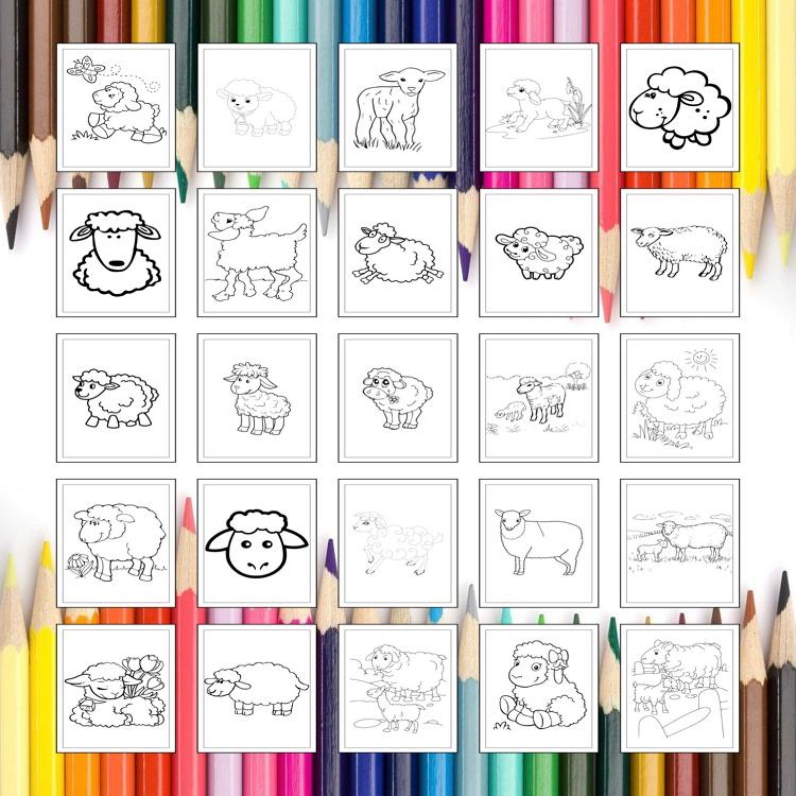Printable Lamb Coloring Pages for Kids Adults 30 Pages Instant