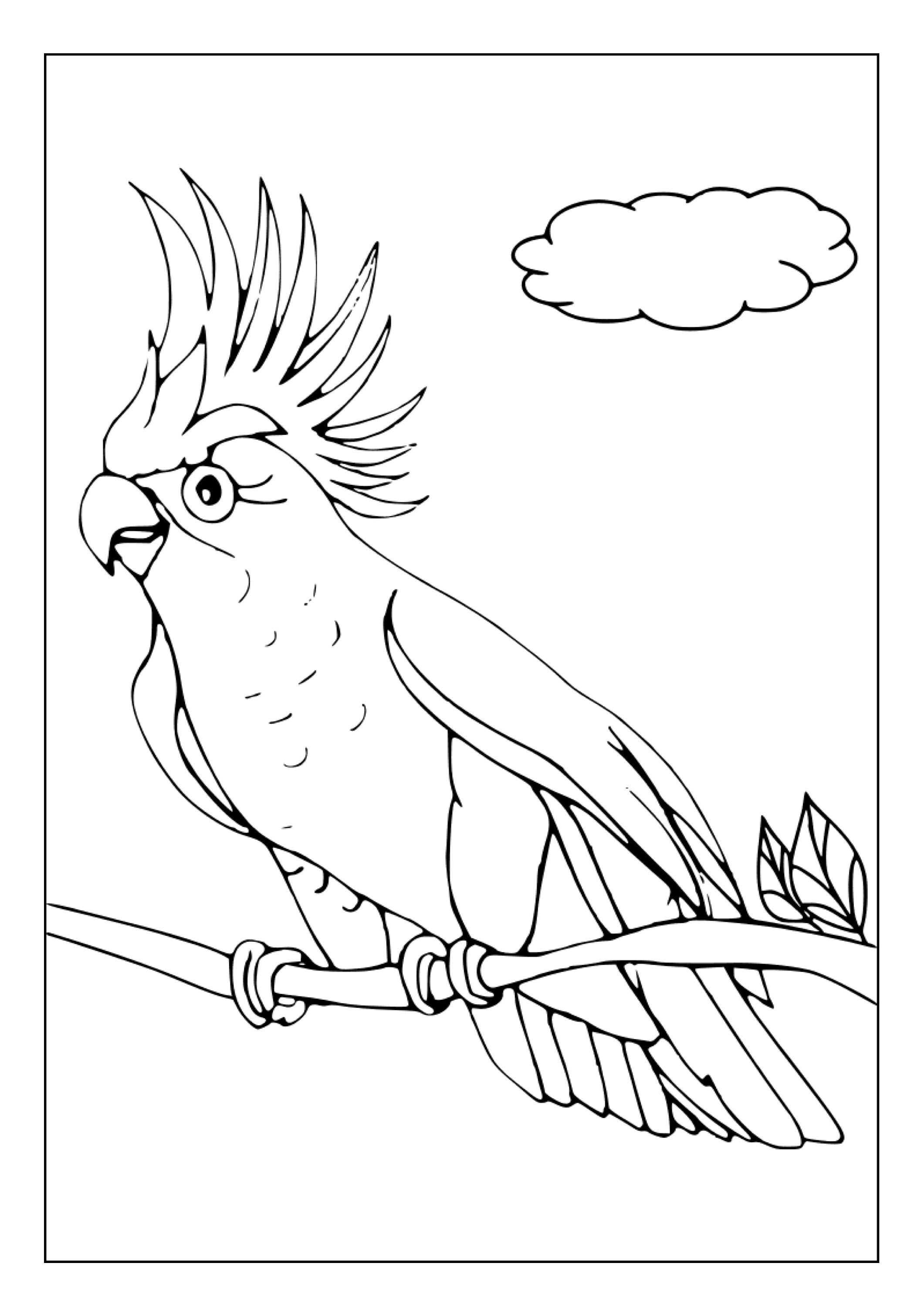 Parrot Colouring In Printable Parrot Coloring Pages for Kids and Adults | 85 Pages ...